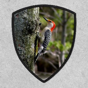 Red Bellied Woodpecker Patch