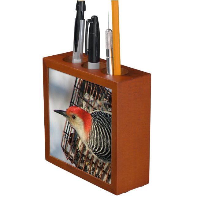 Red-Bellied Woodpecker Pencil Holder (In Situ)