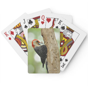 Red-Bellied Woodpecker Poker Cards
