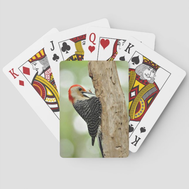 Red-Bellied Woodpecker Poker Cards (Back)