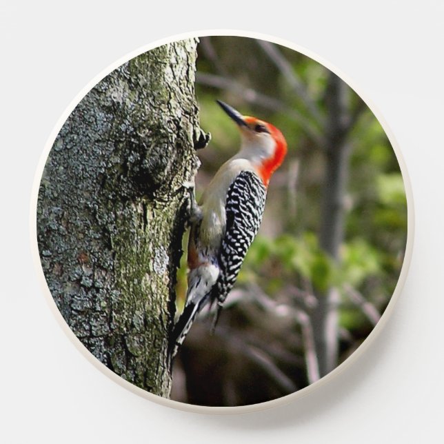 Red Bellied Woodpecker PopSocket (Popsocket)