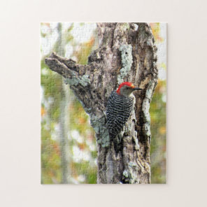 Red Bellied Woodpecker Puzzle