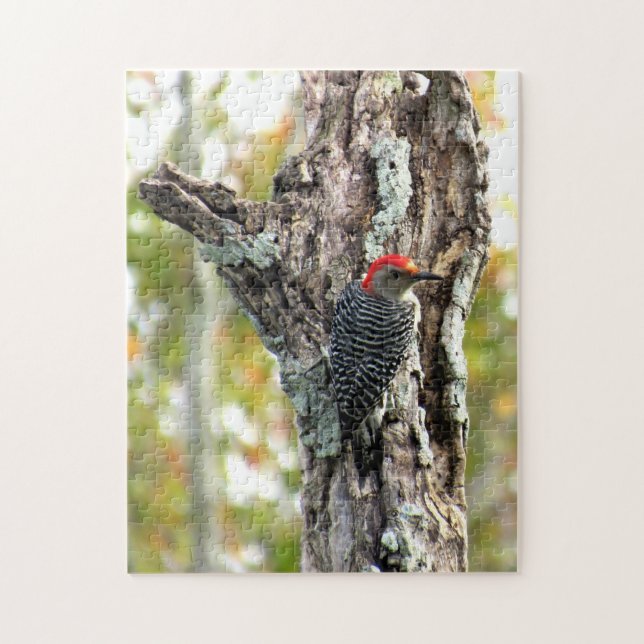 Red Bellied Woodpecker Puzzle (Vertical)