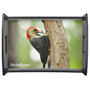 Red-Bellied Woodpecker Serving Tray