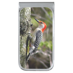 Red Bellied Woodpecker Silver Finish Money Clip