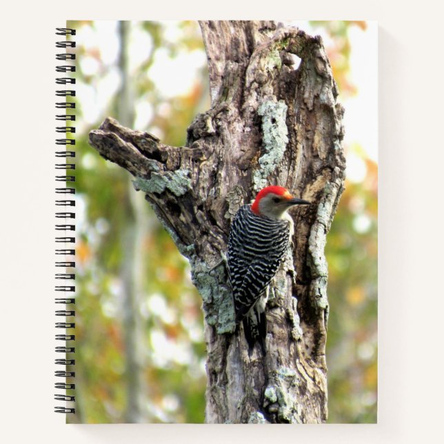 Red-Bellied Woodpecker Spiral Notebook (Front)