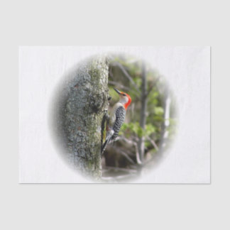 Red Bellied Woodpecker Tissue Paper