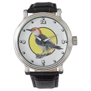 Red-Bellied Woodpecker Watch