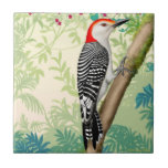 Red Bellied Woodpecker Wild Bird Tile at Zazzle