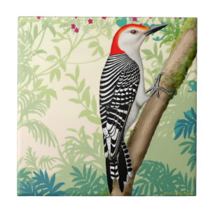 Red Bellied Woodpecker Wild Bird Tile