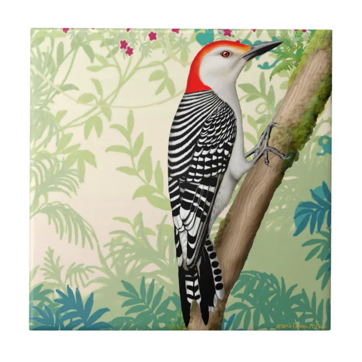 Red Bellied Woodpecker Wild Bird Tile Zazzle