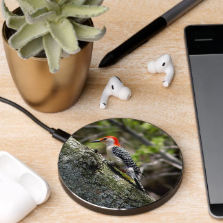 Red Bellied Woodpecker Wireless Charger