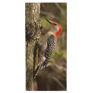 Red Bellied Woodpecker Wood Flash Drive
