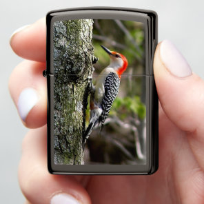 Red Bellied Woodpecker Zippo Lighter