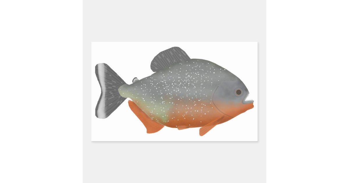 Red Bellied PIRANHA Watercolor Art for the Fishing Lovers and