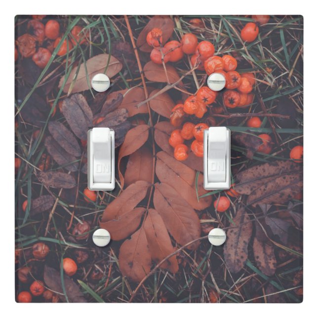 Red berries and brown autumn leaves  light switch cover (In Situ)