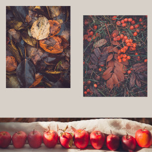 Red berries and colorful autumn leaves  wall art sets