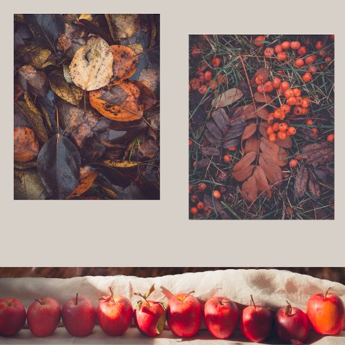 Red berries and colorful autumn leaves  wall art sets