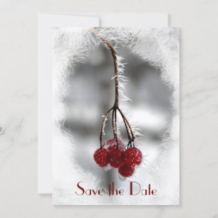 Red Berries and Frost Winter Wedding Save the Date Invitation