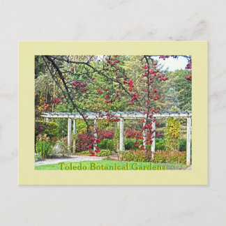 RED BERRIES AND PERGOLA TOLEDO BOTANICAL GARDENS POSTCARD