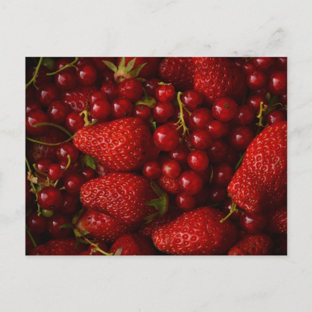 Red Berries and Strawberries Postcard (Front)