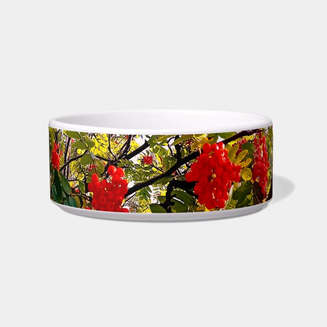 Red berries bowl (Front)