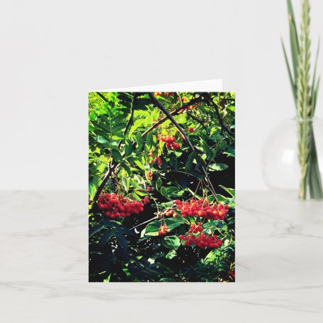 Red berries card (Front)