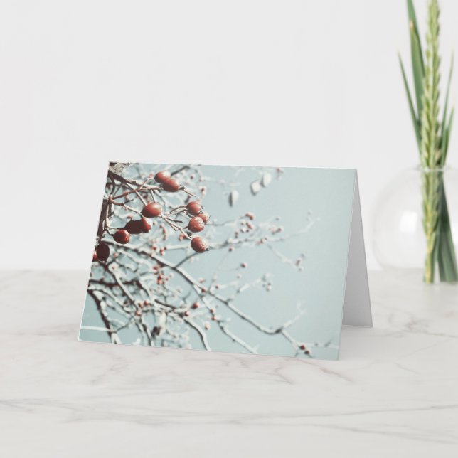 Red Berries Christmas Card (Front)