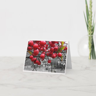 Red Berries Custom Holiday Card