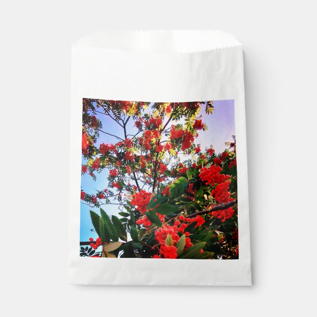 Red berries favor bag (Front)