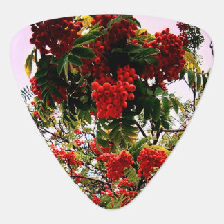 Red berries guitar pick