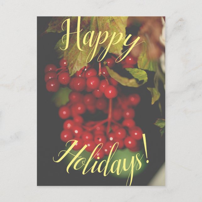Red Berries Happy Holidays Postcard Card (Front)