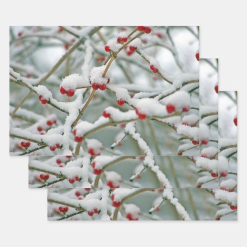 Red Berries in Snow Wrapping Paper Sheets