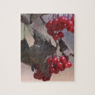 Red Berries Jigsaw Puzzle