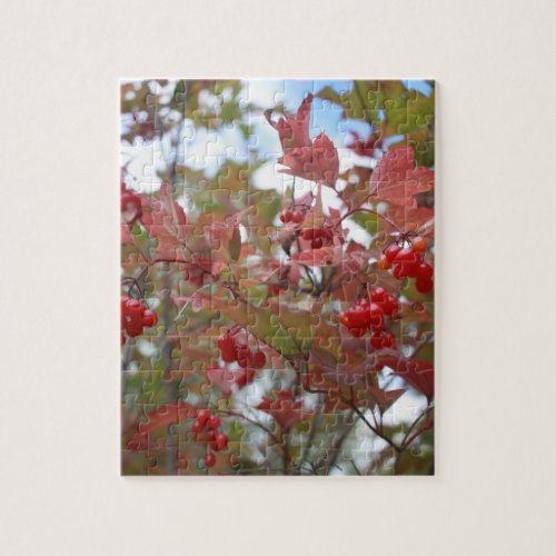 Red Berries Nature Photo Fruit Garden Fall Autumn Jigsaw Puzzle