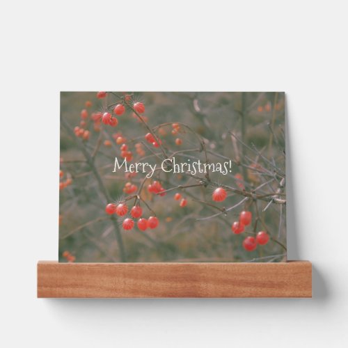 Red Berries Nature Photo Merry Christmas  Picture Ledge