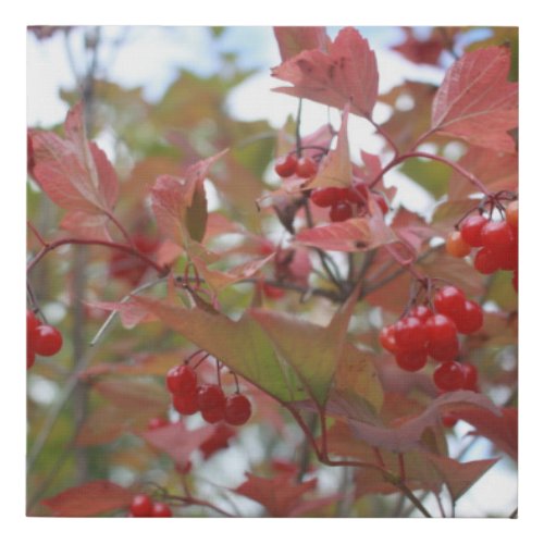 Red Berries Nature Plants Fruit Garden Fall Autumn Faux Canvas Print