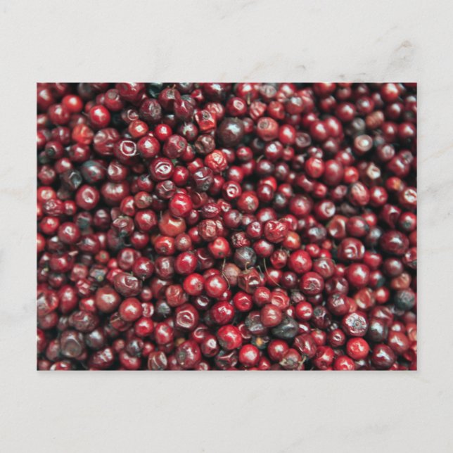 Red berries of the Himalayas Postcard (Front)