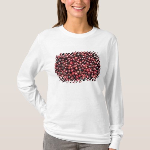 Red berries of the Himalayas T_Shirt