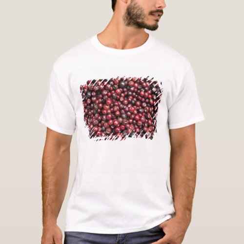 Red berries of the Himalayas T_Shirt