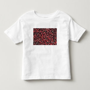 Red berries of the Himalayas Toddler T-shirt