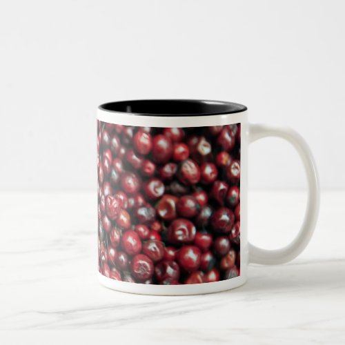 Red berries of the Himalayas Two_Tone Coffee Mug