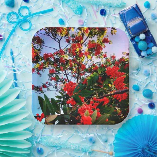 Red berries paper plates (Party)