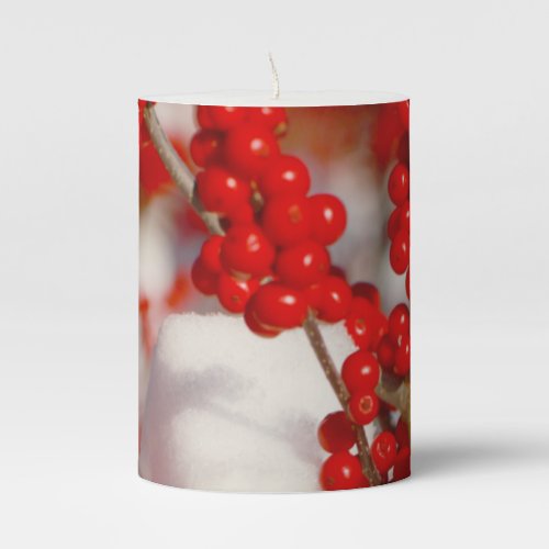 Red Berries Snow Photo Christmas Xmas Holiday Pillar Candle