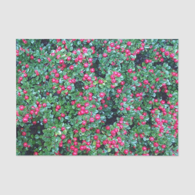 Red berries tissue paper (Front)
