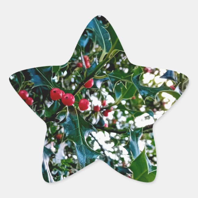 Red berries , with holly star sticker (Front)