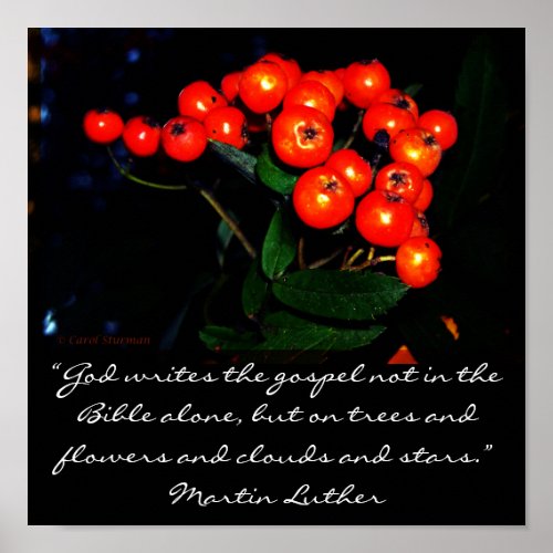 Red berries with Martin Luther quote print