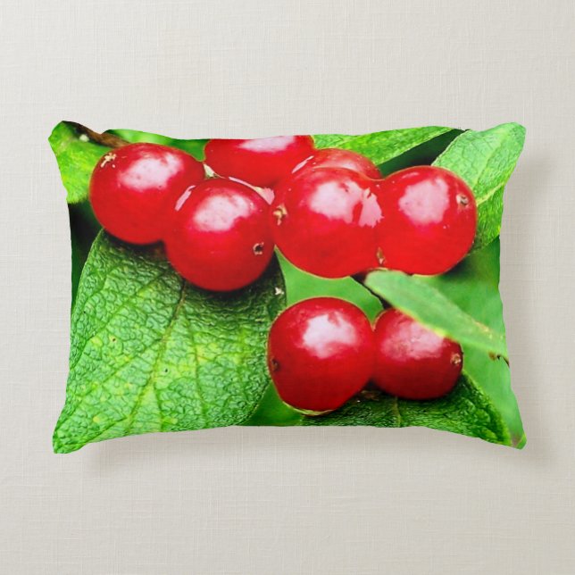 Red Berries With Raindrops Close Up  Accent Pillow (Front)
