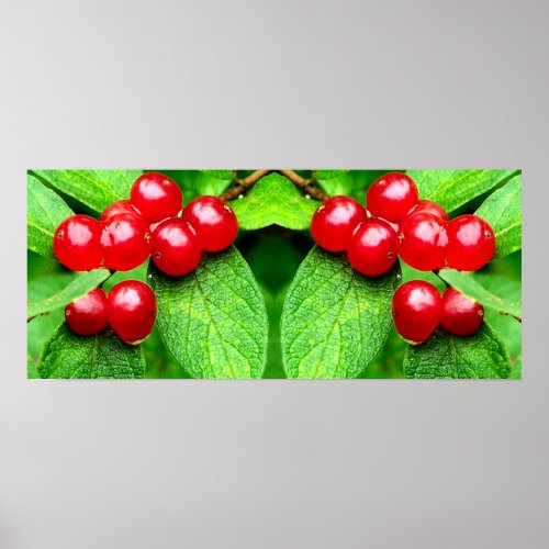 Red Berries With Raindrops Mirror Abstract Poster