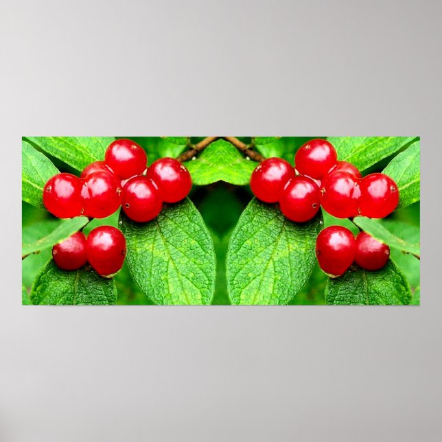 Red Berries With Raindrops Mirror Abstract Poster (Front)